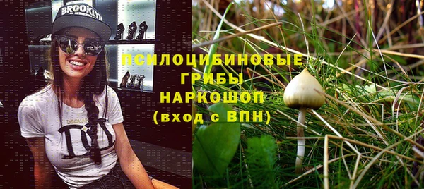 амф Алексеевка