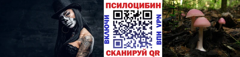 Псилоцибиновые грибы прущие грибы Казань