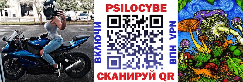 блэк спрут зеркало  Казань  Псилоцибиновые грибы Magic Shrooms 