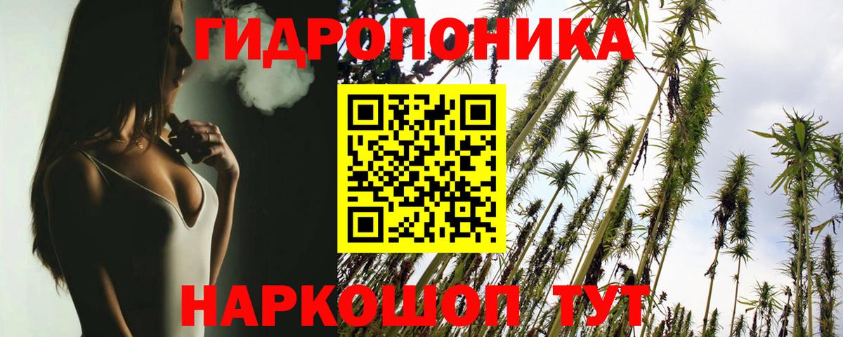 Бошки Шишки гибрид  МАРИХУАНА сатива  Марихуана тримм  Бошки Шишки гибрид  Казань  Вход с VPN 